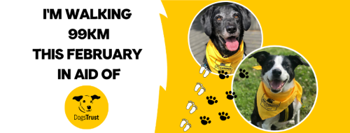 6 Fantastic Family Events To Enjoy in February Dogs Trust